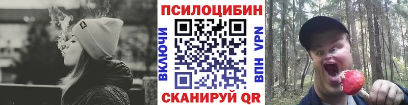 Псилоцибиновые грибы Magic Shrooms Бабушкин